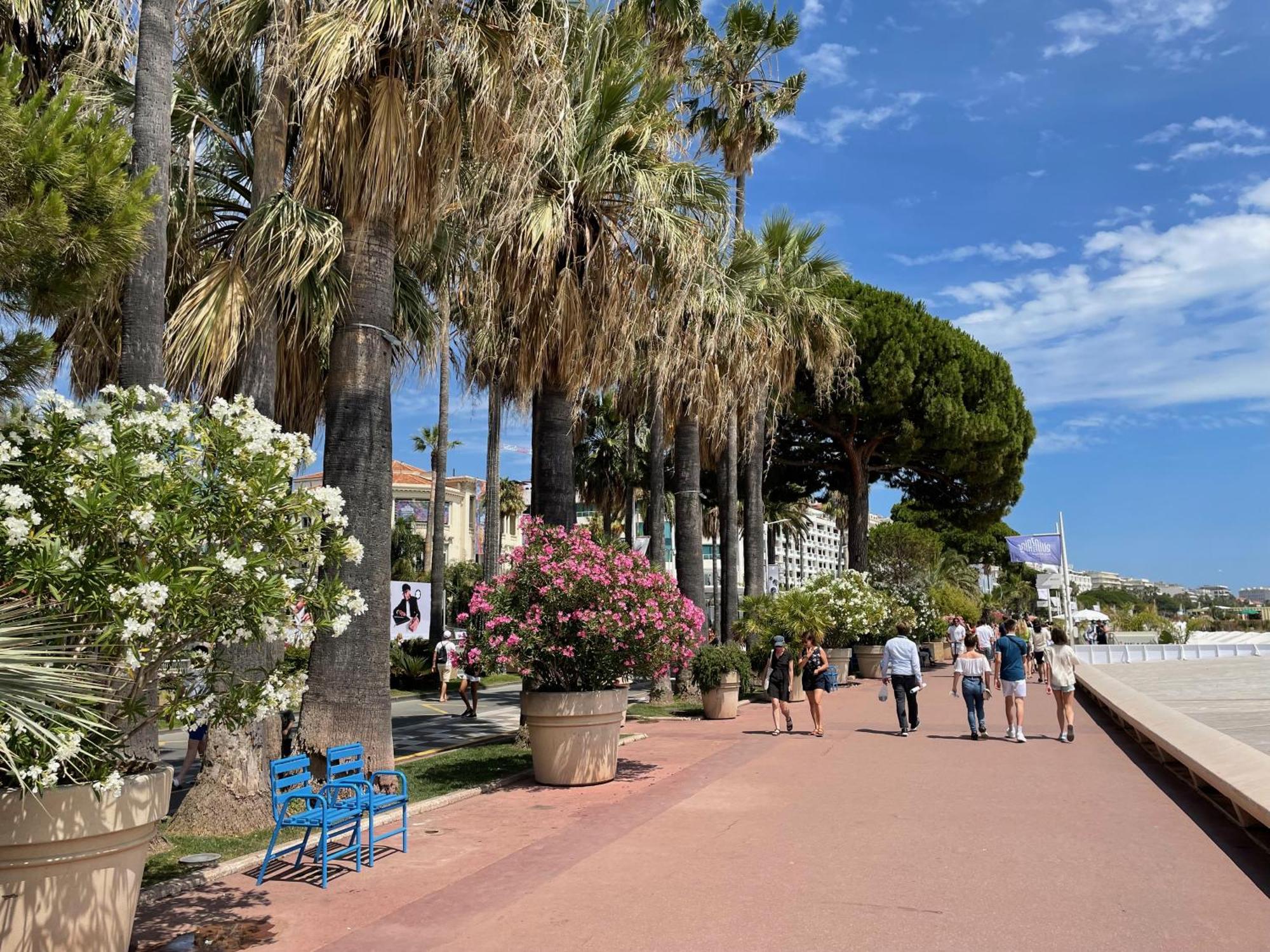 Beautiful Apartment Cannes Center Terrace Parking Exterior photo
